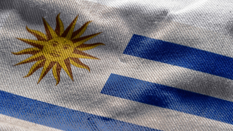 Bandera uruguaya